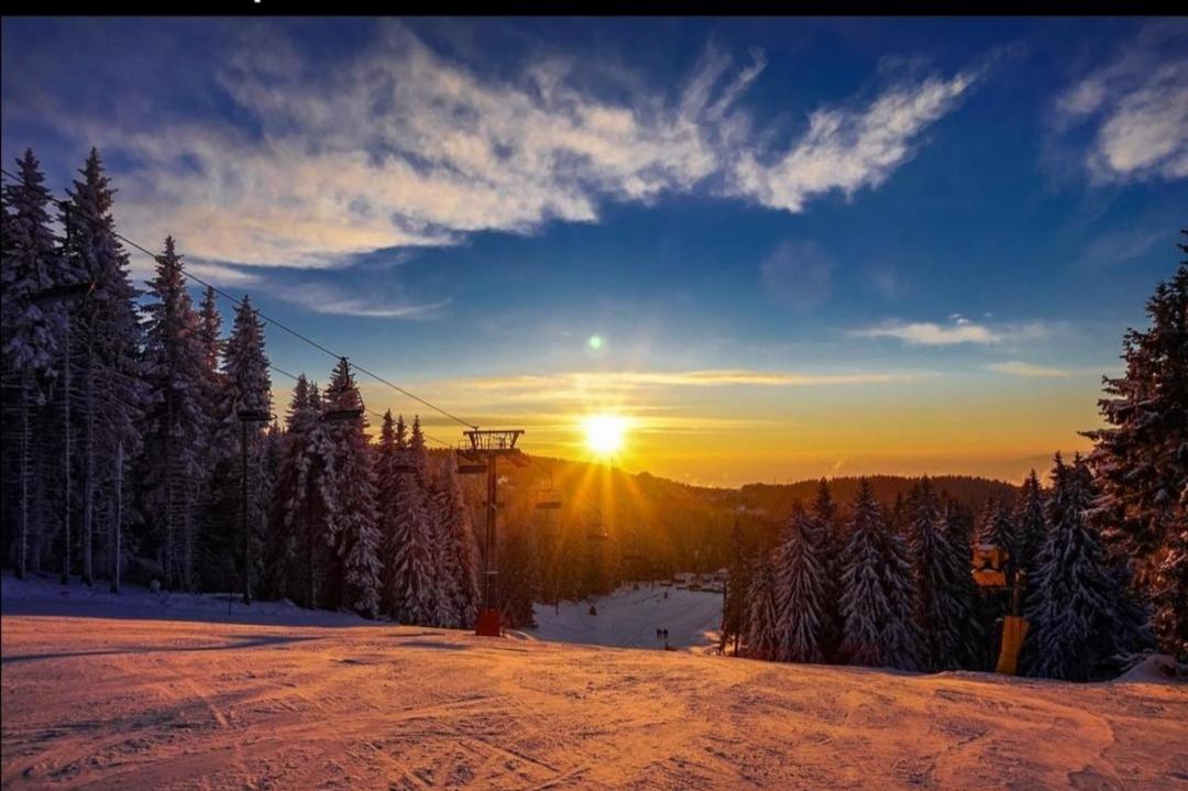 Megi Apartman - Konaci Maglic Kopaonik Dış mekan fotoğraf